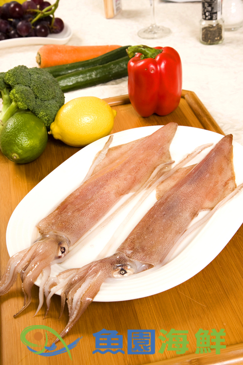 【魚園海鮮】船上活凍透抽