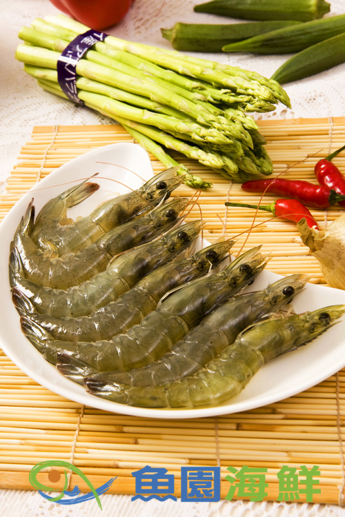 【魚園海鮮】台灣生白蝦