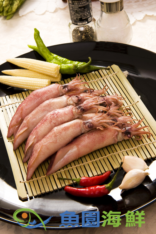 【魚園海鮮】迷你小卷